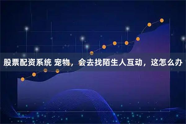 股票配资系统 宠物,会去找陌生人互动,这怎么办